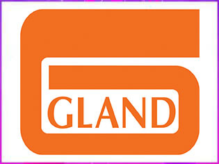 gland small (1)