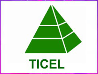 ticel (1)